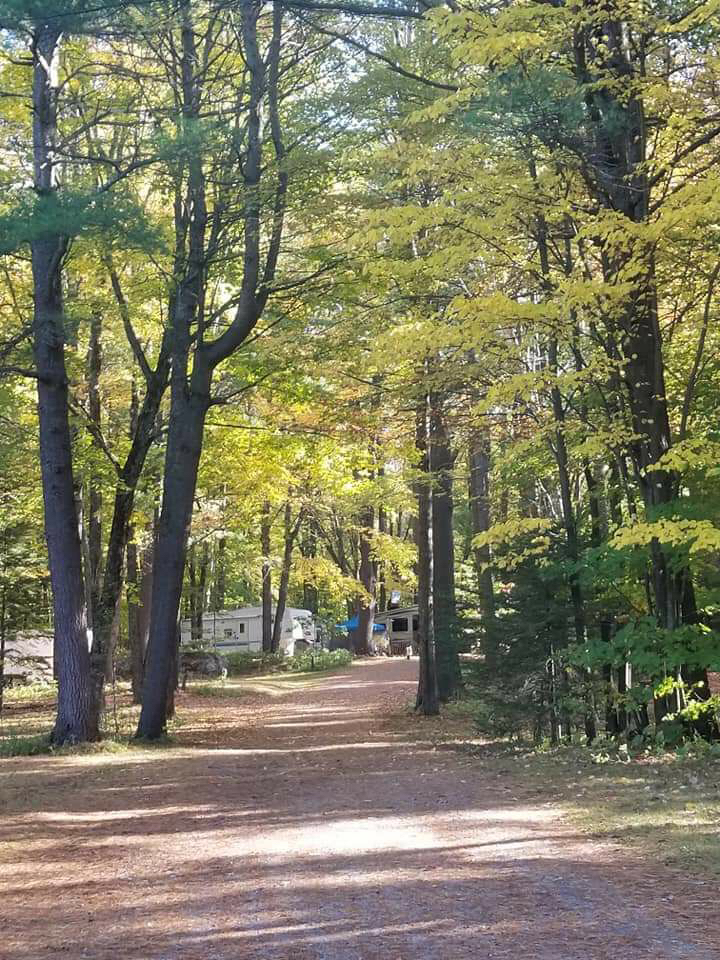 Muskoka Falls Trailer Park