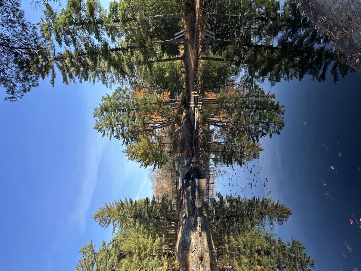 Muskoka Falls Trailer Park