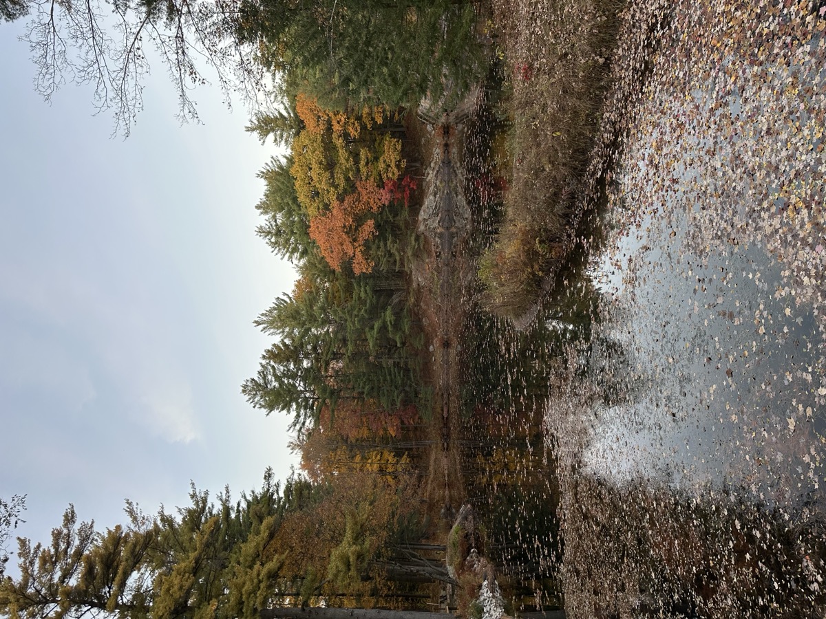 Muskoka Falls Trailer Park