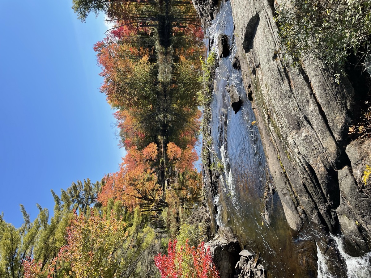 Muskoka Falls Trailer Park